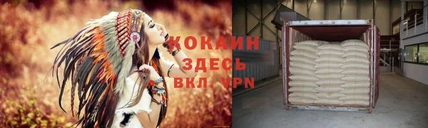 прущие грибы Армянск