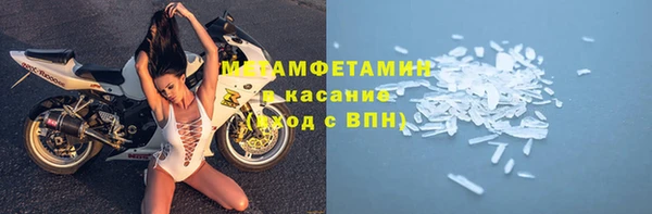 прущие грибы Армянск