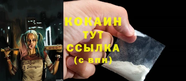прущие грибы Армянск
