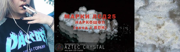 прущие грибы Армянск