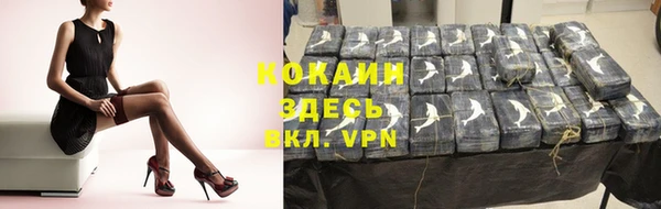 мяу мяу мука Аркадак