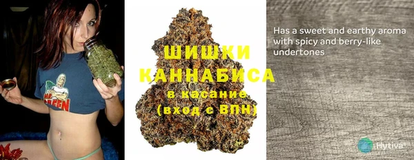 прущие грибы Армянск