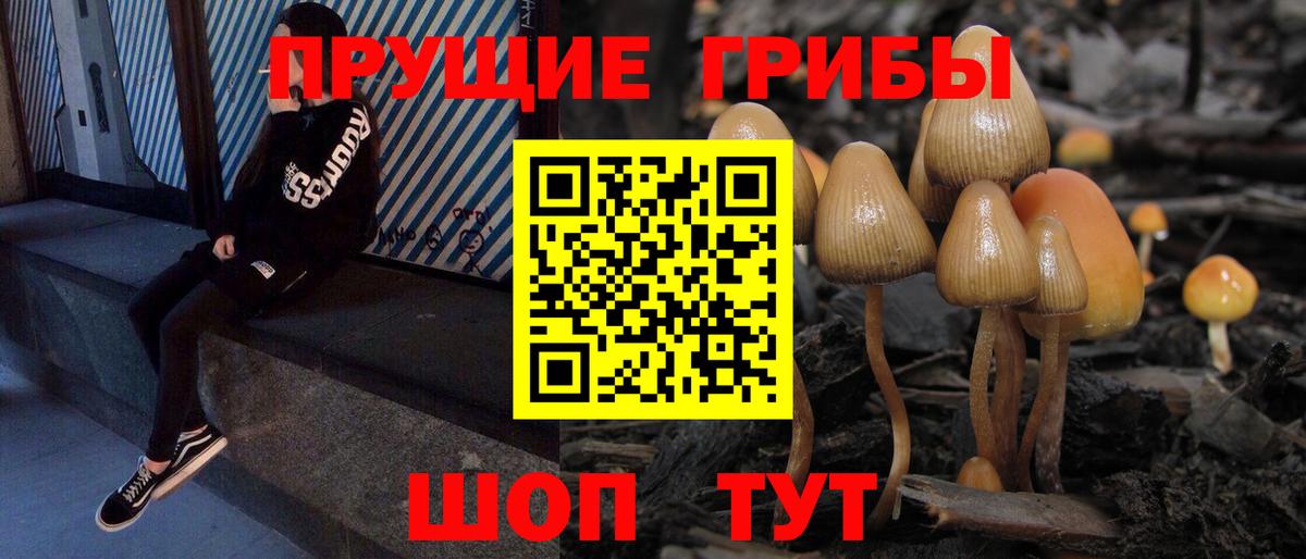 Изобильный  Галлюциногенные грибы MAGIC MUSHROOMS  Вход с VPN 