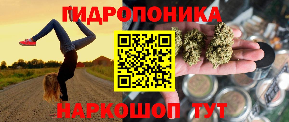 Бошки Шишки гибрид Изобильный